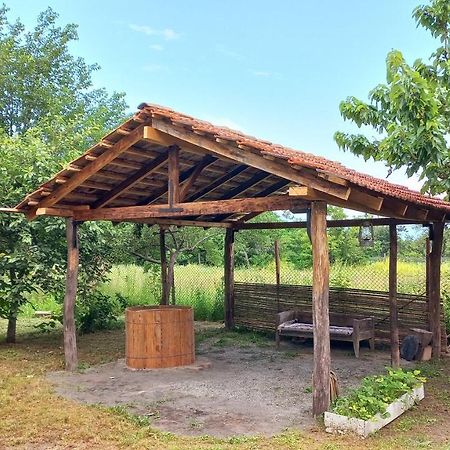 Veli Guest House • Საოჯახო Სასტუმრო Ველი Zemo Alvani Exteriör bild