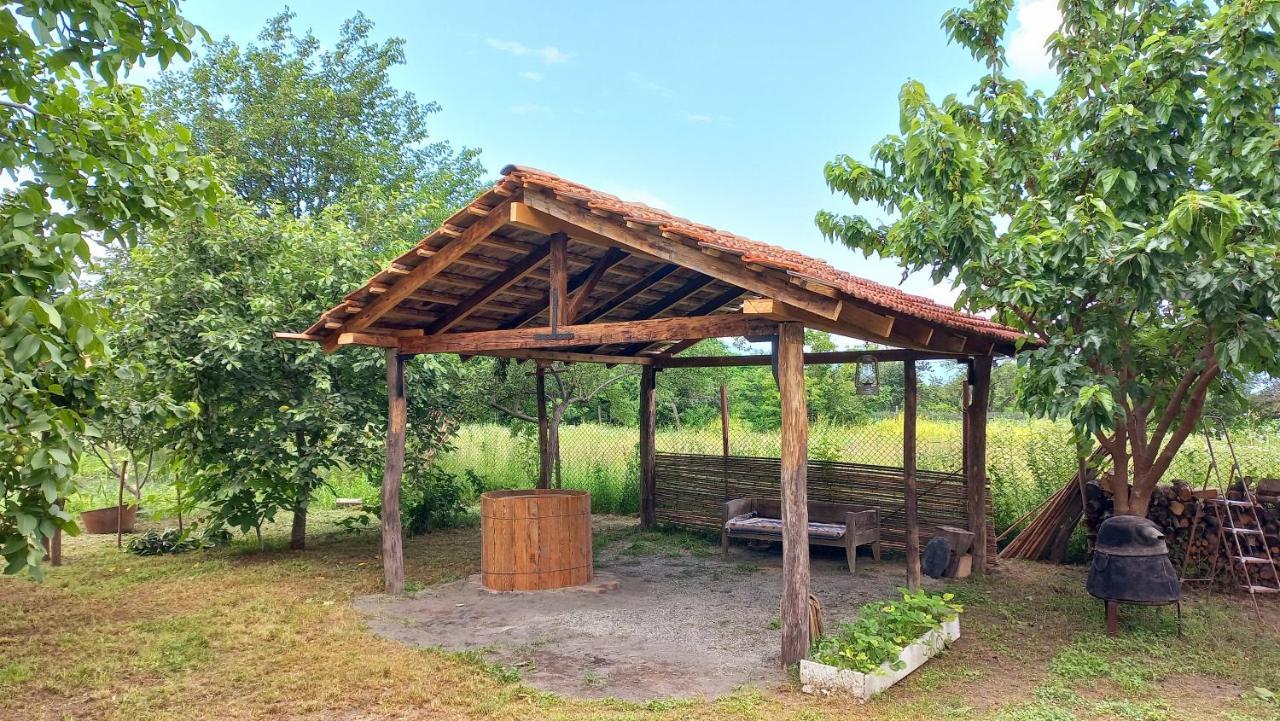 Veli Guest House • Საოჯახო Სასტუმრო Ველი Zemo Alvani Exteriör bild