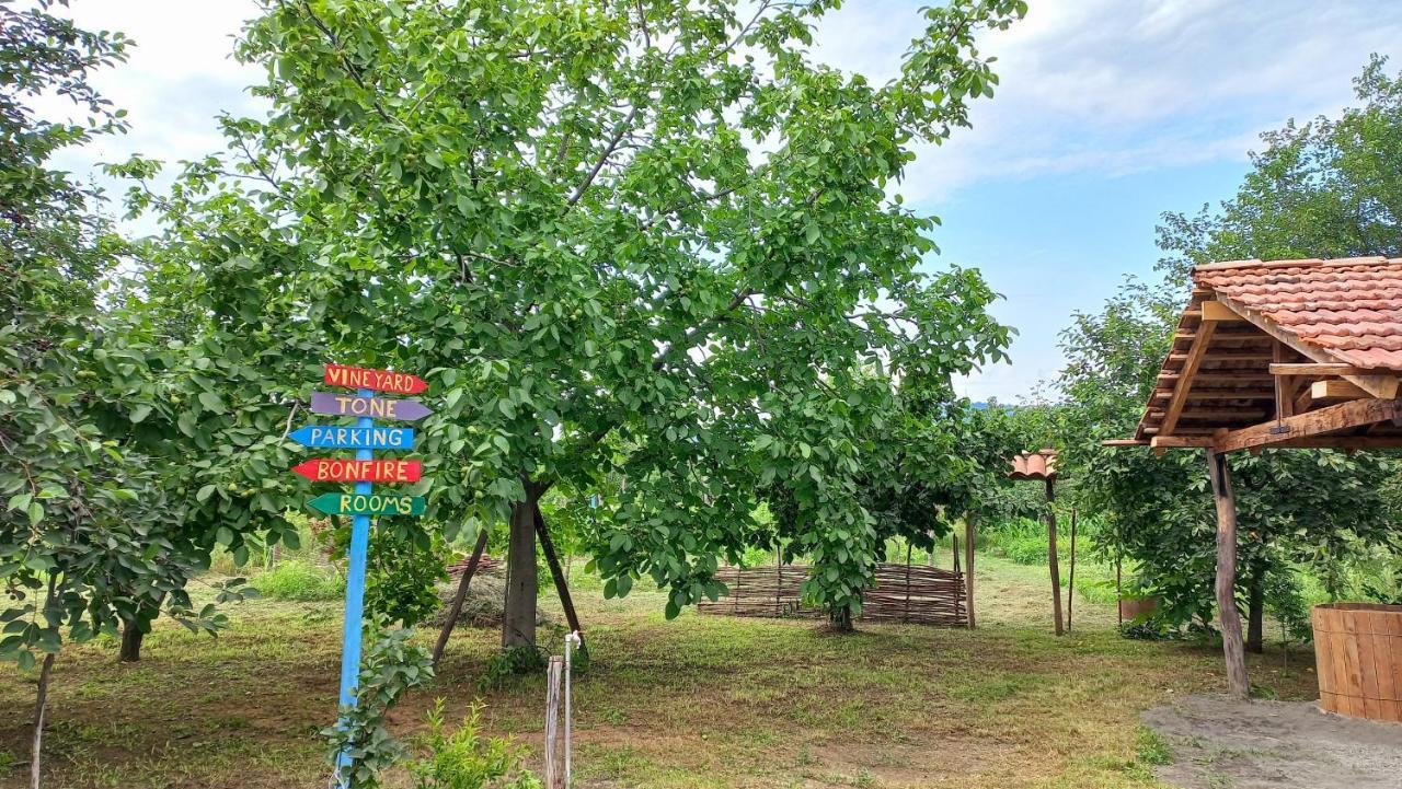 Veli Guest House • Საოჯახო Სასტუმრო Ველი Zemo Alvani Exteriör bild